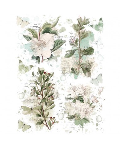 Rubons o Transferibles 49 And Market VB37506