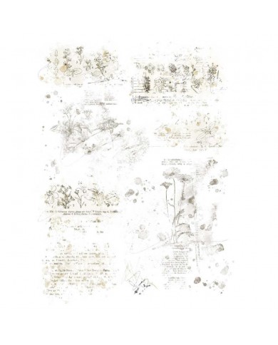 Rubons o Transferibles 49 And Market VB37513