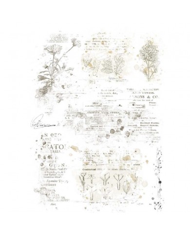 Rubons o Transferibles 49 And Market VB37513