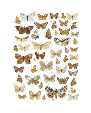 Rubons o Transferibles 49 And Market VB37520