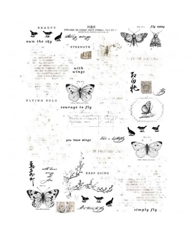 Rubons o Transferibles 49 And Market VB37520