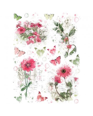 Rubons o Transferibles 49 And Market VB37780