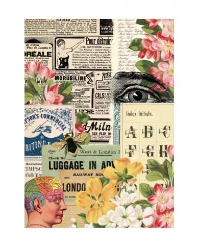 Découpage Paper A4-Collector Diary Col. II