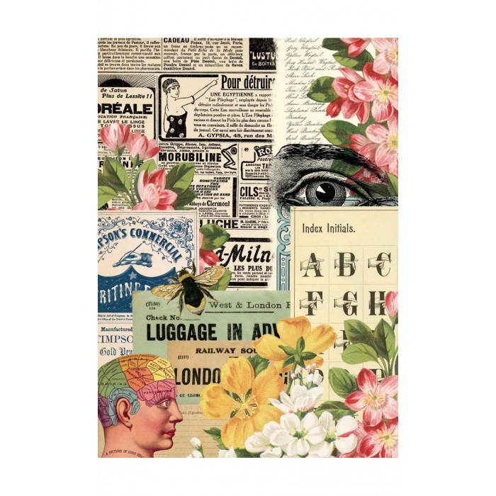 Découpage Paper A4-Collector Diary Col. II