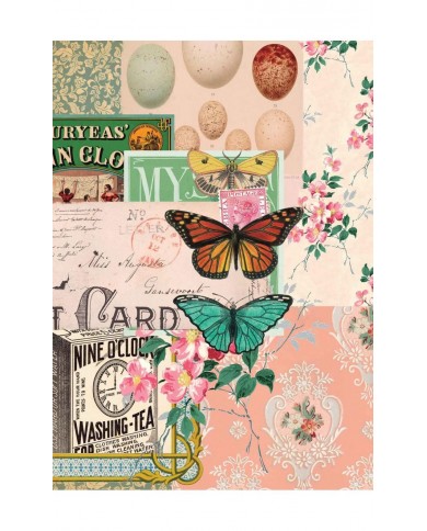 Découpage Paper A4-Collector Diary Col. II