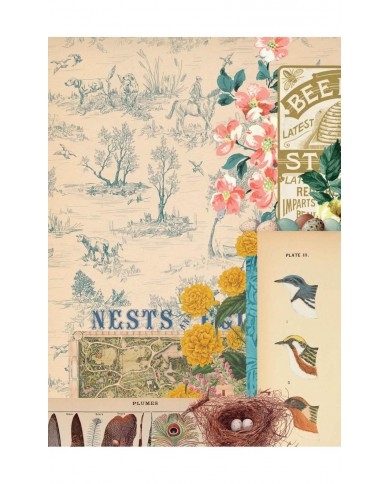Découpage Paper A4-Collector Diary Col. II