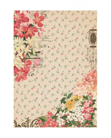 Découpage Paper A4-Collector Diary Col. I
