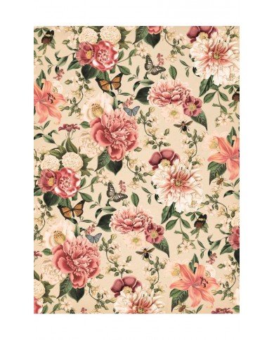 Découpage Paper A4-Collector Diary Col. I
