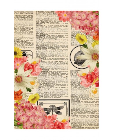 Découpage Paper A4-Collector Diary Col. I