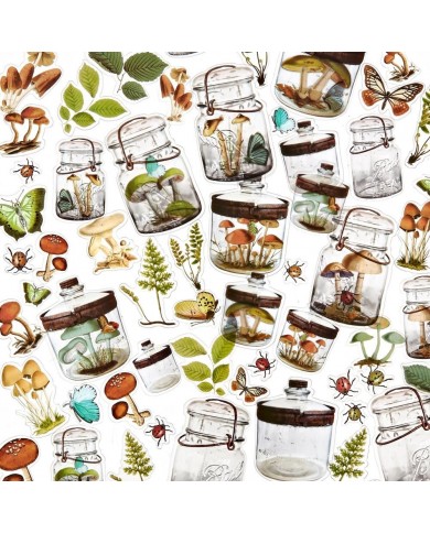 Recortables de Acetato NS23220