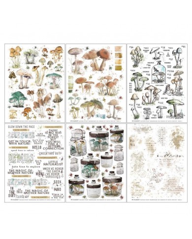 Rubons o Transferibles 49 And Market NS23305