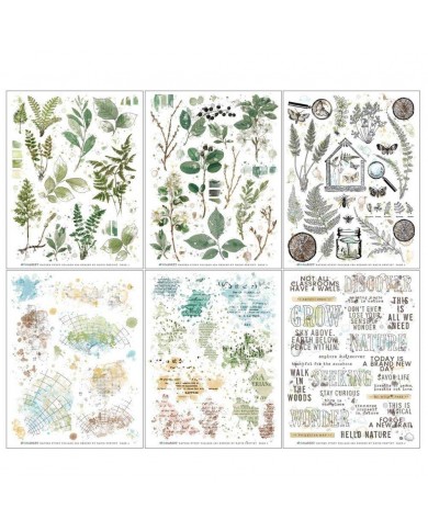 Rubons o Transferibles 49 And Market NS23312