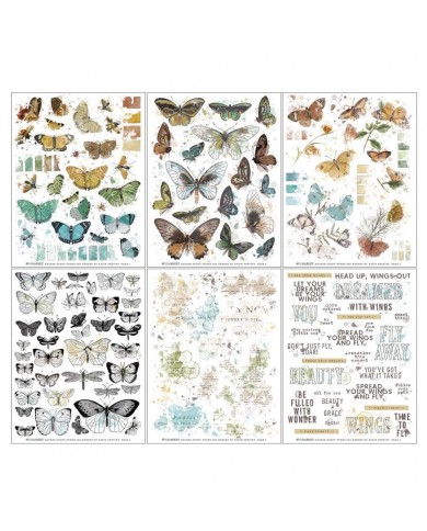 Rubons o Transferibles 49 And Market NS23299