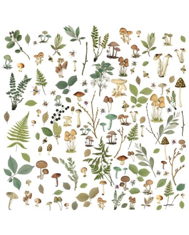 Recortables o Diecuts 49andmarket NS23190