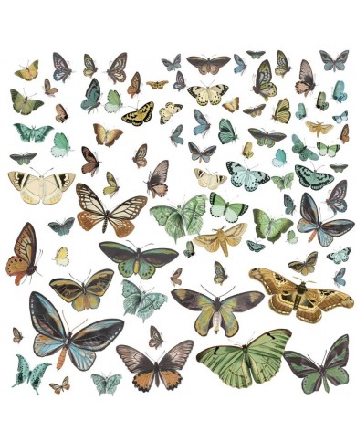 Recortables o Diecuts 49andmarket NS23183