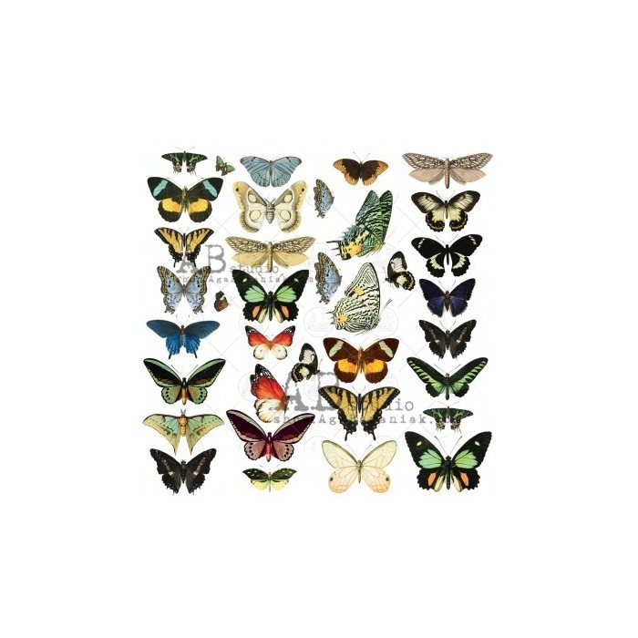 Die-cuts ephemera ID-48 x30 "Butterflies"