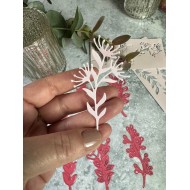 Troqueles botanicos Scrapdona by Myhappyspot