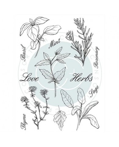 Sello de Polimero Craft Consortium A5 Clear Stamps CCSTMP011