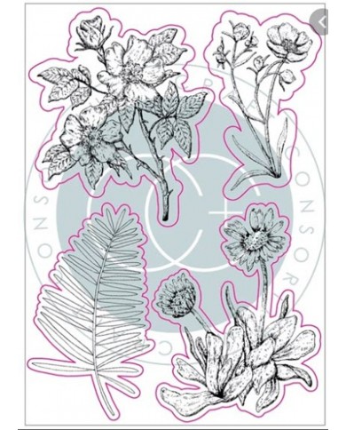 Sello de Polimero Craft Consortium A5 Clear Stamps CCSTMP036