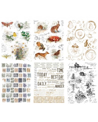 Rubons o Transferibles 49 And Market CM36691