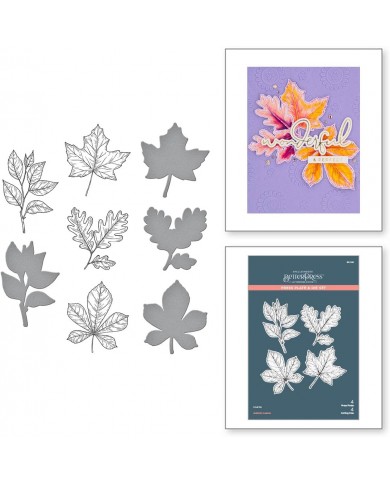 PRESS PLATE & DIE SET AUTUMN LEAVES (BetterPress)