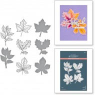PRESS PLATE & DIE SET AUTUMN LEAVES (BetterPress)