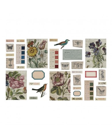 Transparent Things 2 33/Pkg Tim Holtz TH94327