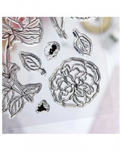 Set de sellos Camelias de Alúa Cid