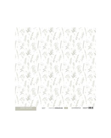 Colección de papeles decscrapbooking Herbarium Florilèges Design 30x30cm FDPI223009