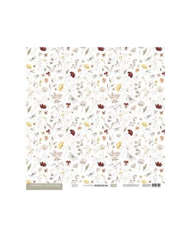 Colección de papeles decscrapbooking Herbarium Florilèges Design 30x30cm FDPI223009