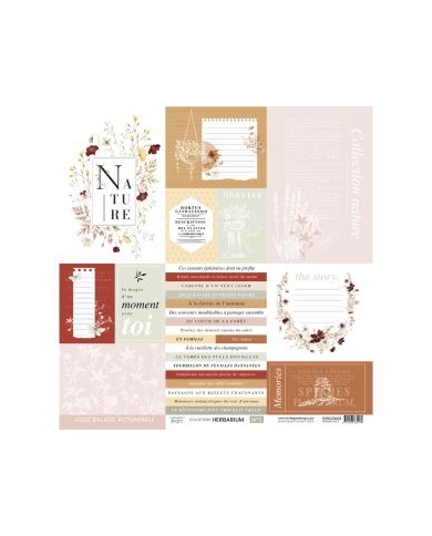 Colección de papeles decscrapbooking Herbarium Florilèges Design 30x30cm FDPI223009