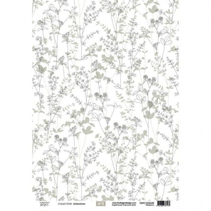 Kit papeles de calco A4 x 4 HERBARIUM florilegesdesign FDPC2230010