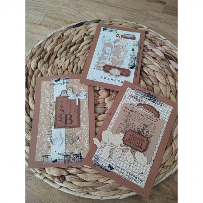 Set de Sellos etiquetas Herbarium Florilegesdesign FDCL223003