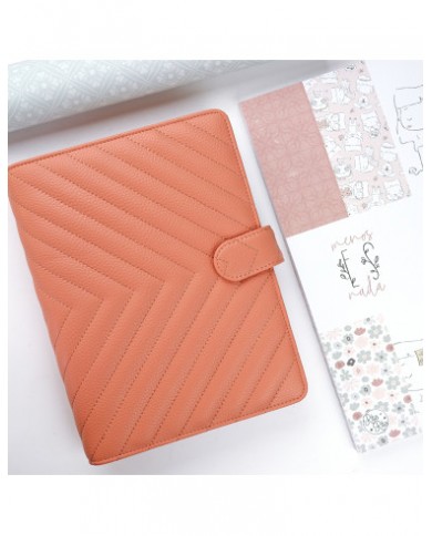 Pre Venta Cubierta para agenda Ladrillo. Diseño de Alúa Cid