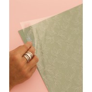 Acetato Moka de Mintopía