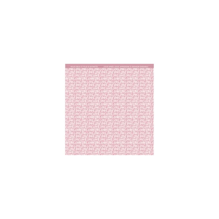 Colección de papeles 12x12 LA VIE EN ROSE Florileges FDPI124011