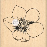 Sello de madera BEAUTIFUL ANEMONE Florileges FE323007