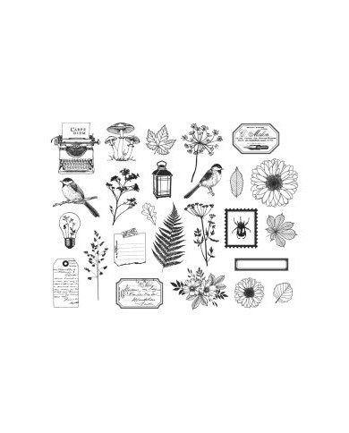 Die cuts vellum NATURE NOTEBOOK Florileges FDDC224002