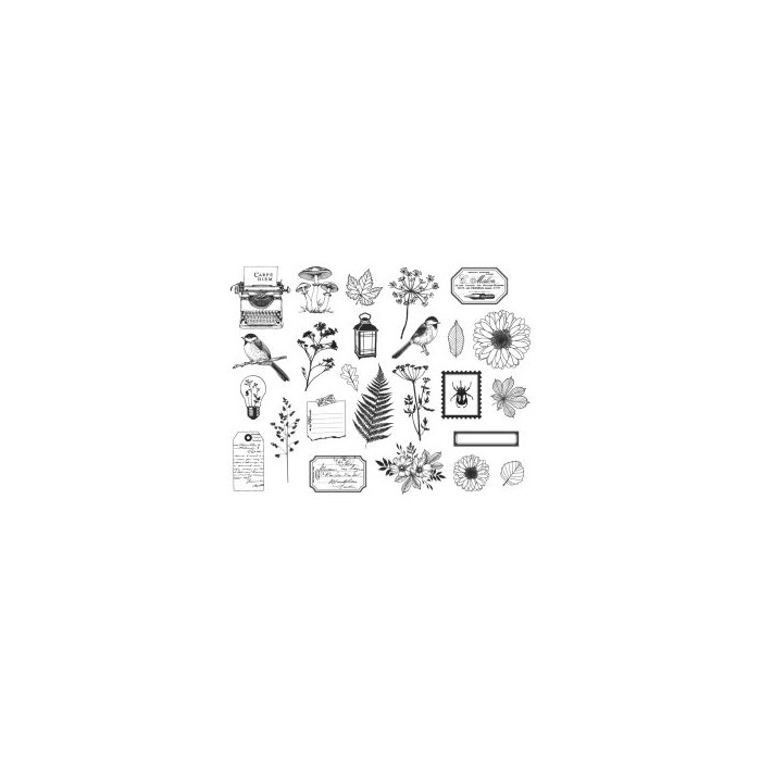 Die cuts vellum NATURE NOTEBOOK Florileges FDDC224002