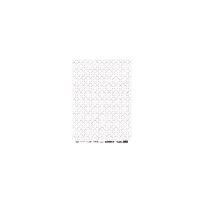 Kit papeles de calco A4 x 4 NATURE NOTEBOOK Florilegesdesign FDPC224005
