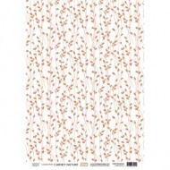 Kit papeles de calco A4 x 4 NATURE NOTEBOOK Florilegesdesign FDPC224005