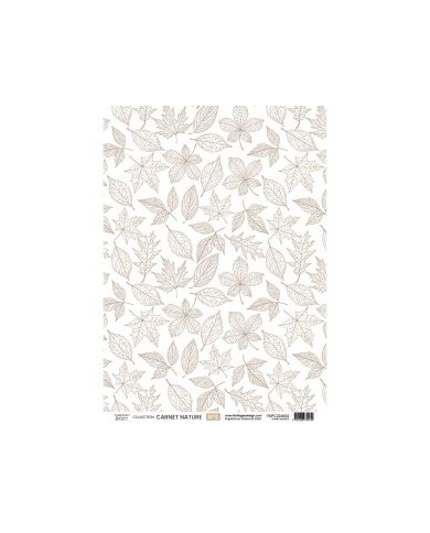 Kit papeles de calco A4 x 4 NATURE NOTEBOOK Florilegesdesign FDPC224005