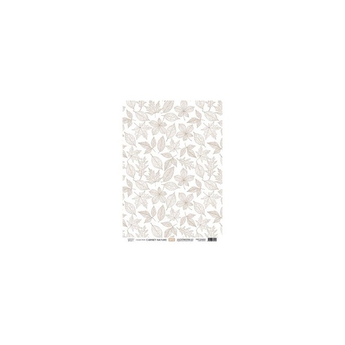 Kit papeles de calco A4 x 4 NATURE NOTEBOOK Florilegesdesign FDPC224005