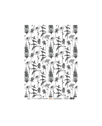 Kit papeles de calco A4 x 4 NATURE NOTEBOOK Florilegesdesign FDPC224005