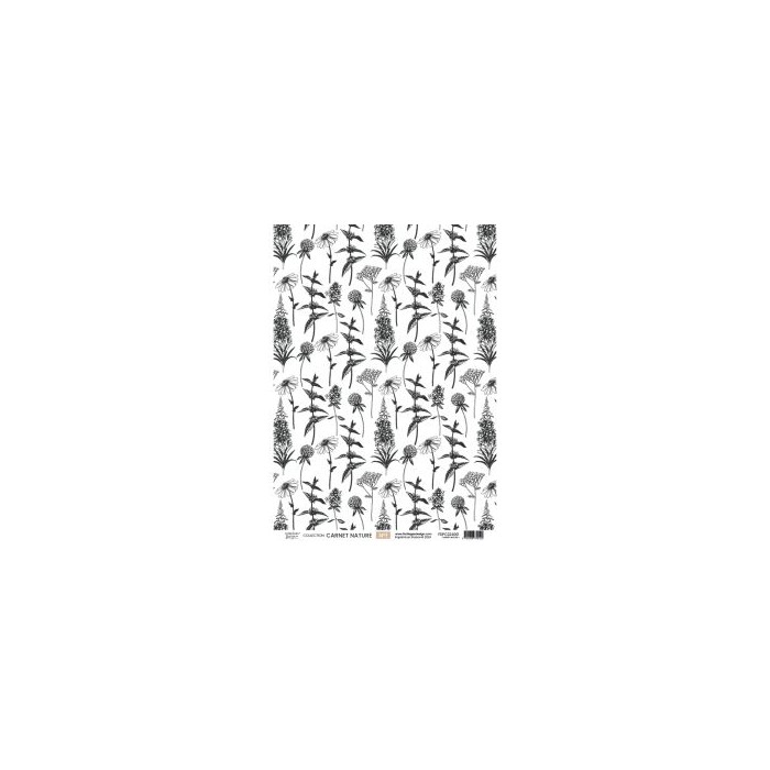 Kit papeles de calco A4 x 4 NATURE NOTEBOOK Florilegesdesign FDPC224005