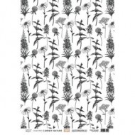 Kit papeles de calco A4 x 4 NATURE NOTEBOOK Florilegesdesign FDPC224005