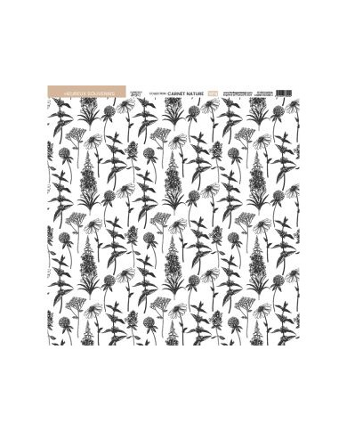 Colección de papeles 30x30 NATURE NOTEBOOK Florileges FDPI224011