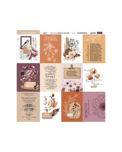 Colección de papeles 30x30 NATURE NOTEBOOK Florileges FDPI224011