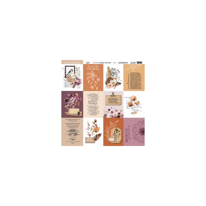 Colección de papeles 30x30 NATURE NOTEBOOK Florileges FDPI224011