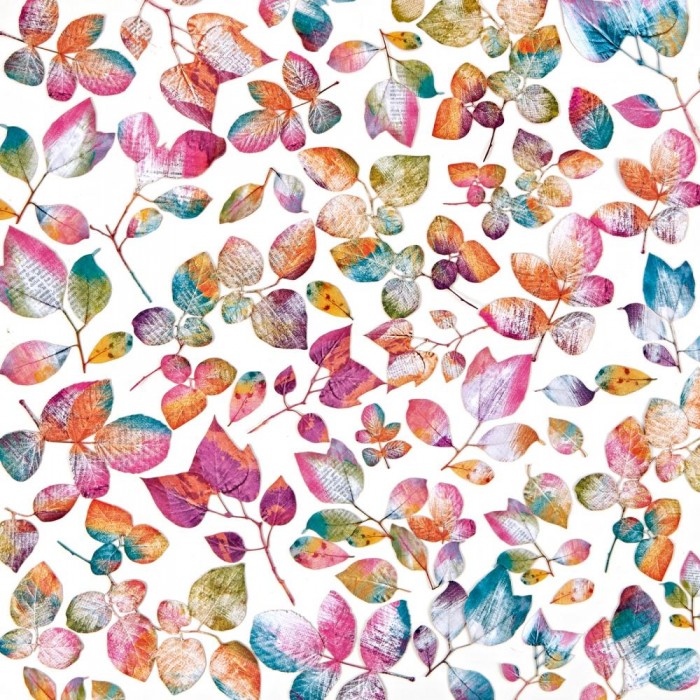 Diecuts o Ephemeras 49andmarket Mixed Media Leaves AOS-25361
